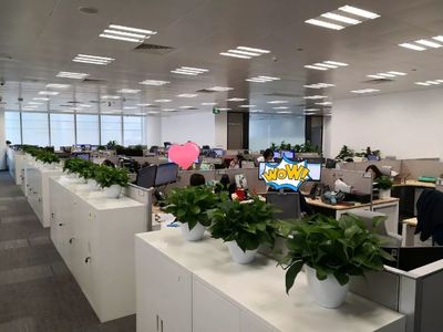 喬遷大吉！級掌柜新辦公空間全面揭秘，科技與舒適完美融合