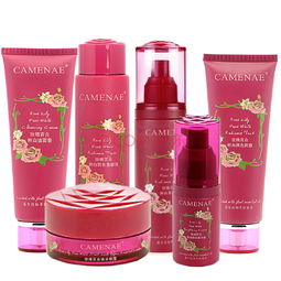 家居日用品批發 連接品質生活與商業機遇的橋梁